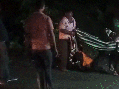 कोडरमा घाटी में टेलर हादसा, चालक की मौत:बोकारो से पटना जा रहा था मालवाहक, केबिन में फंसा रहा बिहार का ड्राइवर कोडरमा घाटी में टेलर हादसा, चालक की मौत:बोकारो से पटना जा रहा था मालवाहक, केबिन में फंसा रहा बिहार का ड्राइवर