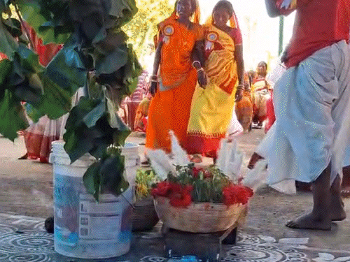 पाकुड़ में करमा पर्व की धूम:चैती दुर्गा मंदिर परिसर में खास आयोजन, प्रकृति संरक्षण का लिया संकल्प