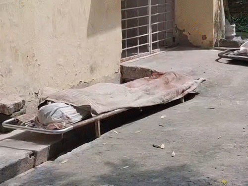भागलपुर में ट्रक ने बाइक को मारी टक्कर:घटनास्थल पर युवक की मौत, घर से 500 मीटर पहले हादसा; डेढ़ साल पहले हुई थी शादी भागलपुर में ट्रक ने बाइक को मारी टक्कर:घटनास्थल पर युवक की मौत, घर से 500 मीटर पहले हादसा; डेढ़ साल पहले हुई थी शादी