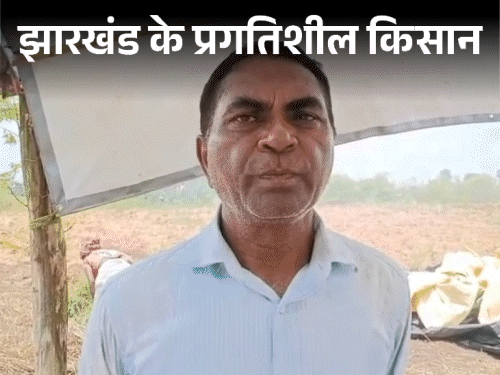 जामताड़ा के किसान जयशंकर प्रसाद के सफलता की कहानी‎:लेमग्रास के तेल ने दी जिंदगी को धार, 6 जिले के किसान होते हैं लाभान्वित‎
