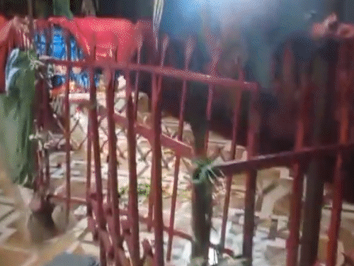 यूपी में दुर्गा मंदिर तोड़ने पर हंगामा:सांसद जगदंबिका पाल धरने पर बैठे, बोले- मंदिर यहीं बनेगा, योगी से बात करूंगा