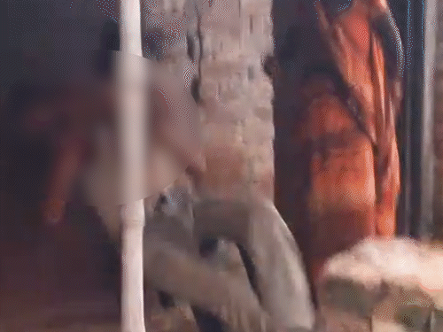 बेटे को हवा में उछाला, जमीन पर गिरकर मौत- VIDEO:लखीमपुर में पिता मासूम की लाश को थपथपी देता रहा, फिर उल्टा लटकाकर घूमा
