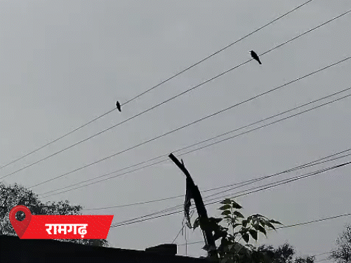 झारखंड में अगले तीन दिन बारिश की संभावना:दो से तीन डिग्री तक बढ़ेगा तापमान, आंधी-तूफान का अलर्ट जारी झारखंड में अगले तीन दिन बारिश की संभावना:दो से तीन डिग्री तक बढ़ेगा तापमान, आंधी-तूफान का अलर्ट जारी