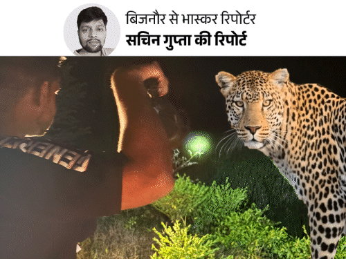 बिजनौर में तेंदुए का खौफ, रातभर पहरा दे रहे गांववाले:14 दिन में चार को बनाया शिकार, पीलीभीत-कानपुर से बुलाए एक्सपर्ट बिजनौर में तेंदुए का खौफ, रातभर पहरा दे रहे गांववाले:14 दिन में चार को बनाया शिकार, पीलीभीत-कानपुर से बुलाए एक्सपर्ट