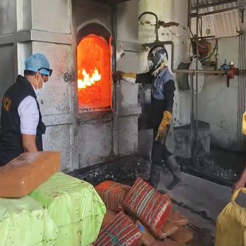 18 क्विंटल मादक पदार्थों को किया नष्ट:धंधेबाजों से गांजा, चरस और अफीम जब्त हुए थे, विभिन्न जिलों में नशे के खिलाफ हुई थी कार्रवाई