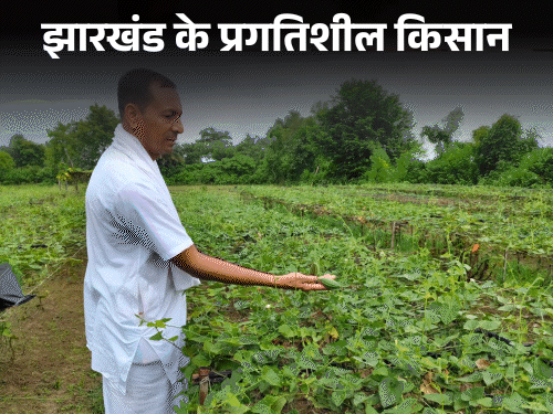 घाटशिला के सुखदेव महाराज करते हैं समेकित खेती:बंजर जमीन में किया प्रयोग, अब परवल उत्पादन से ग्रामीणों को दे रहे नई दिशा‎