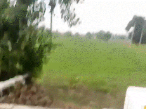 मेरठ में हत्या का लाइव VIDEO, 3 गोली मारी:12 सेकेंड में सीने में तीन राउंड फायर किया, बाइक से भागते समय REEL भी बनाई
