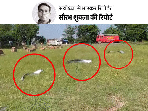 अयोध्या में धमाका, 30 मीटर तक बिखरीं लाशें:72 घंटे बाद भी सुराग नहीं, सिलेंडर फटा या पटाखे; लोग बोले- FIR दर्ज नहीं हुई अयोध्या में धमाका, 30 मीटर तक बिखरीं लाशें:72 घंटे बाद भी सुराग नहीं, सिलेंडर फटा या पटाखे; लोग बोले- FIR दर्ज नहीं हुई