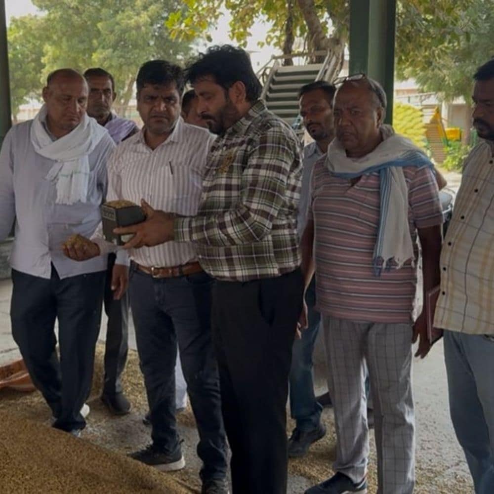 फाजिल्का मंडी में नमी वाला धान रिजेक्ट:फिर शुरू हुई खरीद, अधिकारी बोली लगाने निकले, किसानों ने खड़े किए सवाल