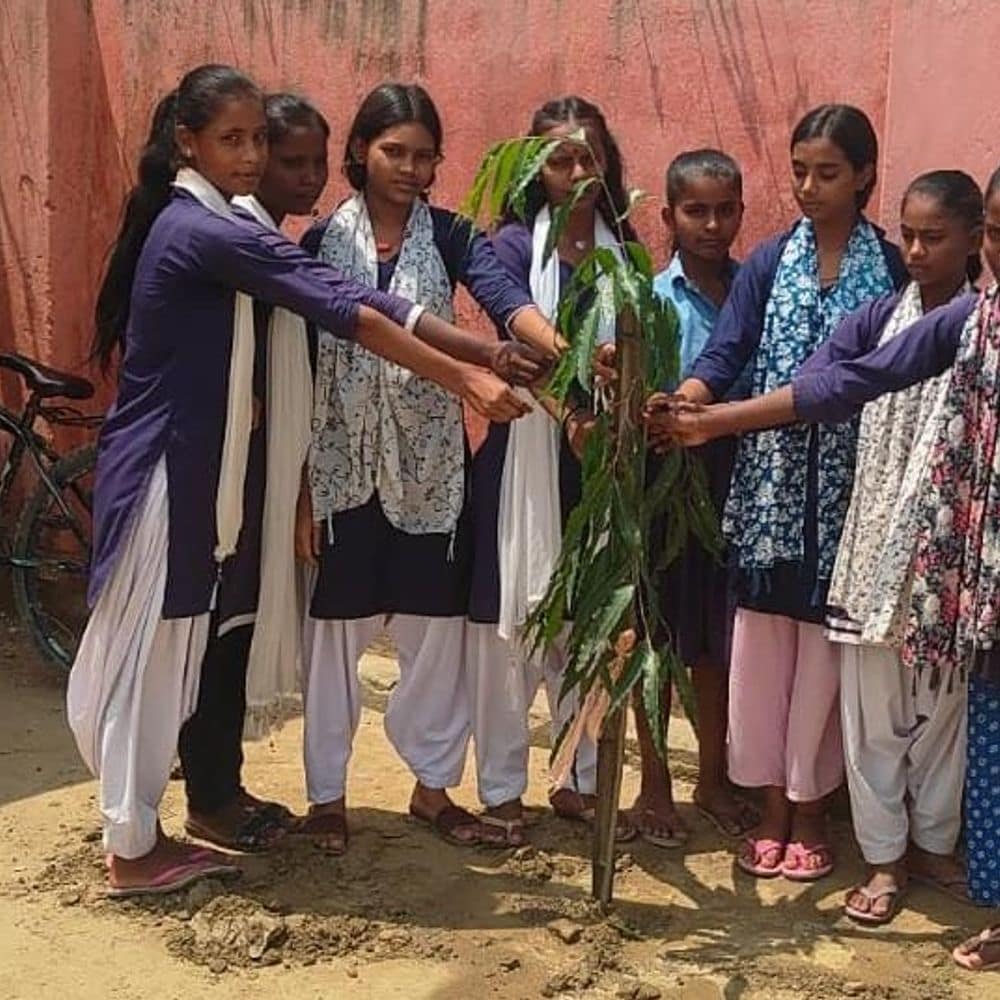अशोगी मध्य विद्यालय में छात्रों के नाम पर पौधारोपण:पर्यावरण जागरूकता का प्रयास, बच्चों ने देखभाल की जिम्मेदारी ली अशोगी मध्य विद्यालय में छात्रों के नाम पर पौधारोपण:पर्यावरण जागरूकता का प्रयास, बच्चों ने देखभाल की जिम्मेदारी ली