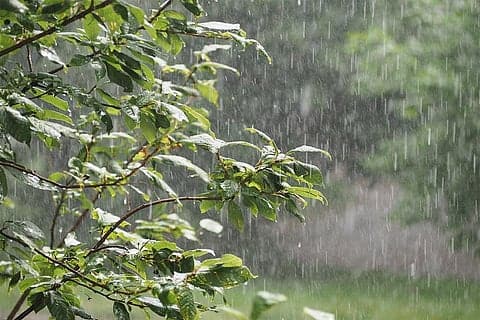 झारखंड के छह जिलों में 17 को भारी बारिश की संभावना