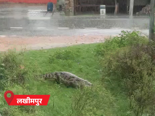 12 जिलों में बाढ़, सड़कों पर नावें-मगरमच्छ:हजारों ने घर छोड़ा, फतेहपुर में पुल डूबा, योगी ने 11 मंत्री उतारे; 71 जिलों में अलर्ट 12 जिलों में बाढ़, सड़कों पर नावें-मगरमच्छ:हजारों ने घर छोड़ा, फतेहपुर में पुल डूबा, योगी ने 11 मंत्री उतारे; 71 जिलों में अलर्ट