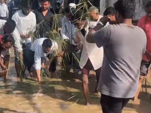 लखनऊ में सड़क पर पार्षद ने धान की रोपाई की:कई दिनों से जलभराव और कीचड़, स्थानीय लोग नाराज