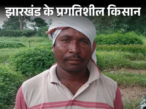 इमारती लकड़ी लगा कर रहे कमाई:चाईबासा के किसान रमेश कोड़ा इमारती पौधे लगाने को कर रहे प्रेरित, कहा- यह आपकी भविष्य निधि‎