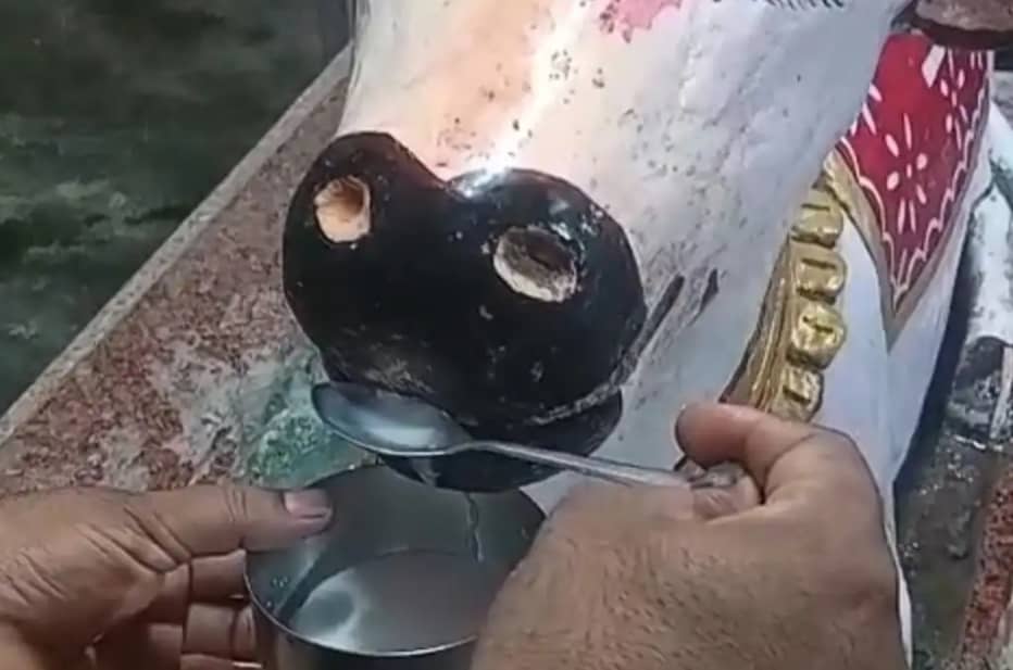 शिव मंदिर में नंदी बाबा ने पिया दूध,श्रद्धालुओं की लगी लाइन